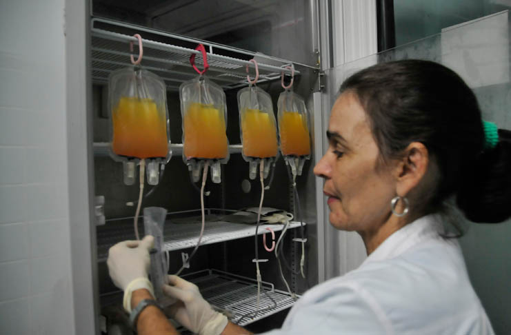 La licenciada Lizet muestra los productos finales, luego de refrigerados por tres días evidencian al fondo de la bolsa la colonia de células madres a reimplantar. / Foto: Juan Carlos Dorado.