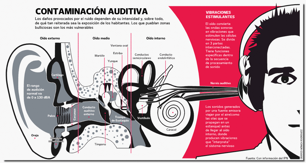 Contaminación auditiva, infografía tomada de Internet