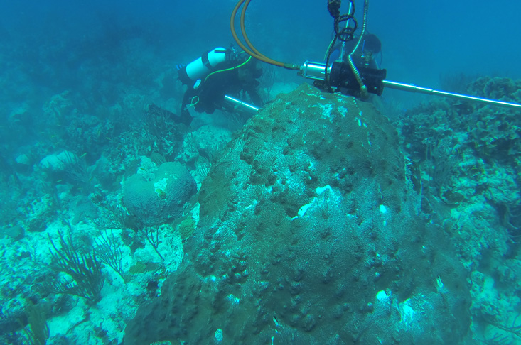 Momento en que buzos realizan en el fondo marino de Rancho Luna la primera toma de muestras de un coral, empleando un taladro neumático. /Foto: cortesía del CEAC.