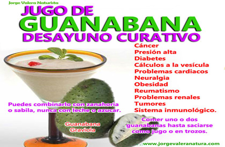 Foto guanábana 4 propiedades medicinales