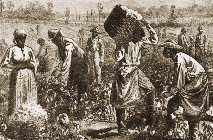 La historiadora Londa Schiebinger relata que casi un millar de esclavos fueron utilizados como "conejillos de indias" durante un experimento de inoculación de viruela. /Foto: Gettyimages.ru
