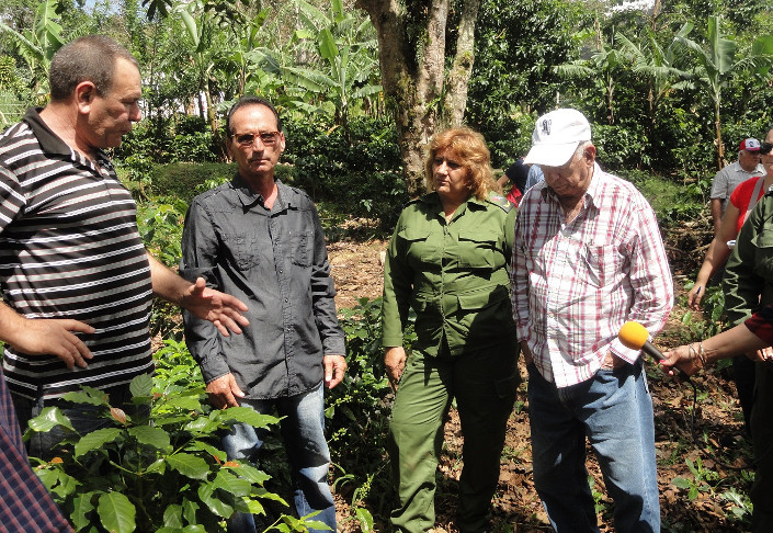 En una de las plantaciones de fomento cafetalero en el Escambray, diálogo con Santiago Pérez Castellanos, a cargo de la actividad agroalimentaria en el Comité Central del Partido. /Foto: Magalys Chaviano