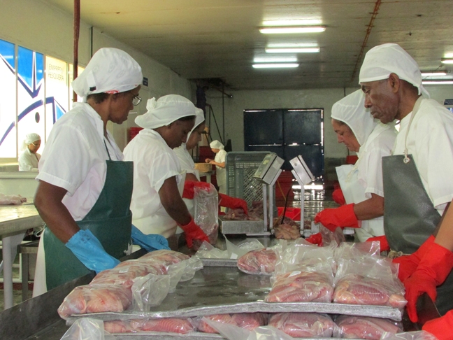 Cienfuegos emprende prácticas en pos de la inocuidad de los alimentos. /Foto: Yuliet