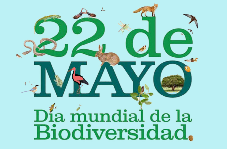 El Día Internacional de la Diversidad Biológica se celebra el 22 de mayo de cada año por decisión de la Asamblea General de las Naciones Unidas del 20 de diciembre de 2000, en la Resolución 55/201. Fue creado con la intención de "informar y concienciar a la población y a los Estados sobre las cuestiones relativas a la biodiversidad". La fecha se eligió por coincidir con el aniversario de la aprobación del Convenio sobre la Diversidad Biológica, firmado en 1992.