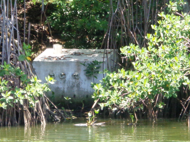 Peso muerto de cinco toneladas en al zona de Jucaral, alternativa para atraco de embarcaciones y protección del mangle