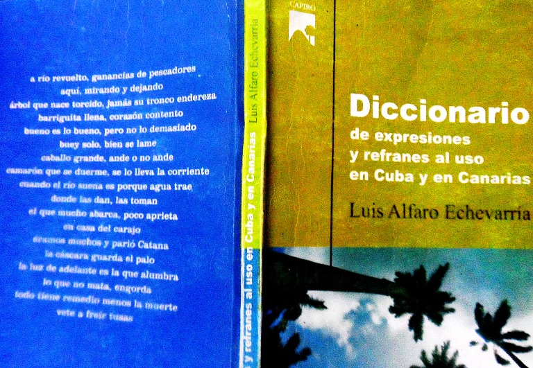 Con esta obra lexicográfica, Alfaro Echevarría recolecta un notable cúmulo de fraseologismos. /Fotocopia: Delvis Toledo.