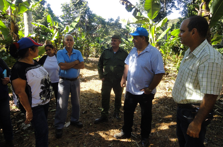 Félix Duartes Ortega, primer secretario del Partido en la provincia de Cienfuegos, intercambia con productores de café. /Foto: Magalys