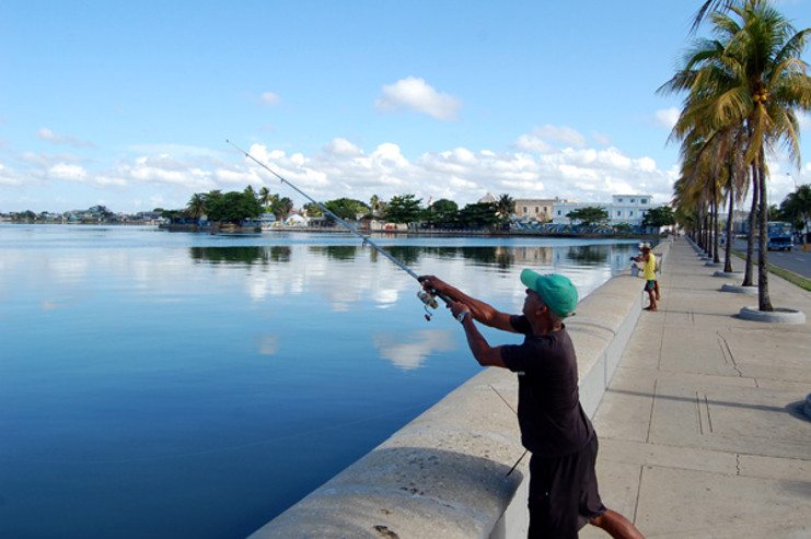 De un tiempo a esta fecha el Malecón de Cienfuegos ha ganado también a los aficionados a la pesca con vara. /Foto: Modesto Gutiérrez Cabo (ACN)