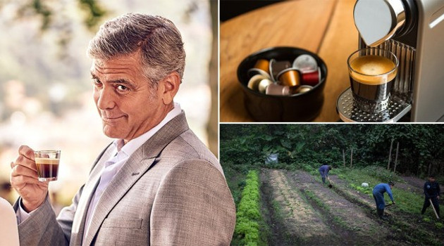 Clooney, de 58 años, es embajador promocional de la marca Nespresso desde 2006 y de manera sistemática ha afirmado estar “orgulloso” de su trabajo allí. De acuerdo con el Daily Mail, el artista ha percibido alrededor de £31 millones de libras (unos 40 millones de UDS) en todo este periodo publicitando a Nespresso, lo que contrasta con los cerca de 6 dólares al día que ganarían los niños del reportaje. /Montaje de Nespresso