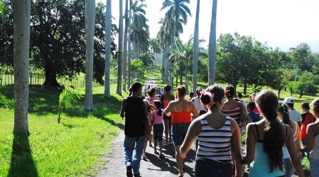 Ciento treinta familias botánicas componen el acervo vegetal del Jardín Botánico de Cienfuegos, Monumento Nacional./Foto: Dagmara Barbieri