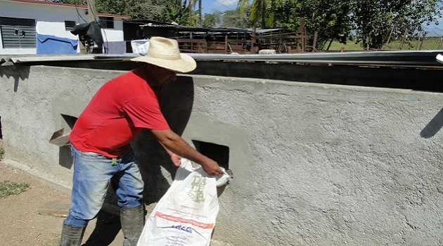 El municipio de Cruces, en Cienfuegos, fomenta la construcción de secaderos de granos. /Foto: Efraín Cedeño