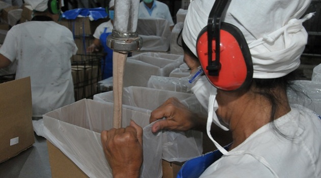 En medio de las medidas de prevención al contagio de la Covid-19, mantienen la producción de helado. / Foto: Juan Carlos Dorado