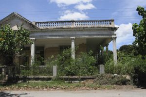 La maleza se esparce en las afueras de la Fundación. / Fotos: Dorado