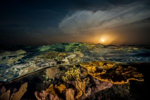 La puesta del sol arroja un resplandor de oro sobre los corales que florecen de la costa meridional del país. Nombrado por Cristóbal Colón en honor de la reina Isabel, este conjunto remoto de llaves, manglares y arrecifes parece casi sin cambios por el tiempo y la mano humana.Foto: David Doubilet and Jennifer Hayes / National Geographic