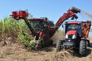 El Pelotón Mixto 8, al igual que otros pelotones, no cuenta actualmente con el balance de recursos necesarios por combinada, la cual precisa de dos tractores con igual cantidad de remolques./ Fotos: Juan Carlos Dorado