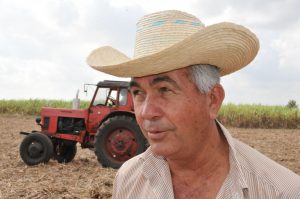 El Héroe del Trabajo de la República de Cuba, Juan Mirardo Mir, lleva 36 años al frente de la cooperativa. / Foto: Juan Carlos Dorado
