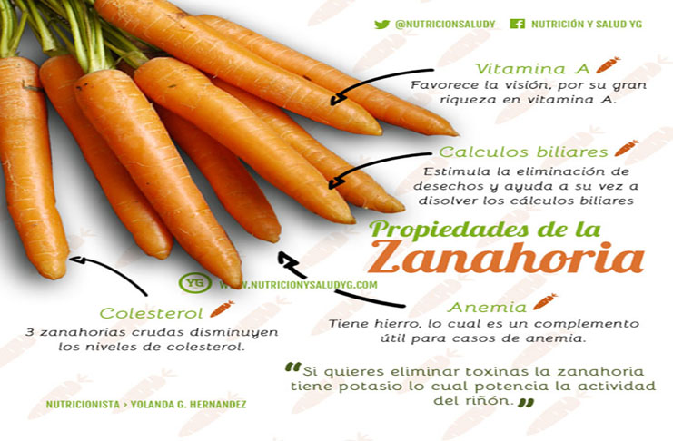 zanahoria-propiedades-y-beneficios listo