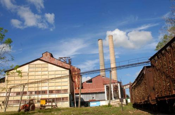 El vigesimo primer cumplimiento consecutivo del antiguo Manuelita responde en buena medida al estable suministro de caña desde las unidades productivas. /Foto: Modesto Gutiérrez Cabo (ACN)