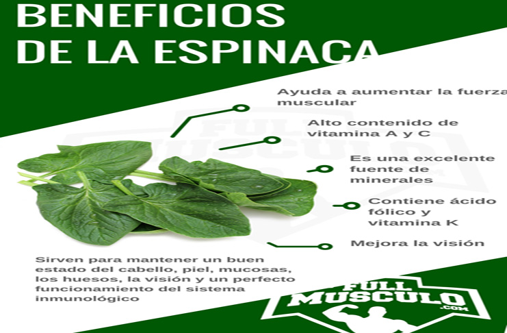 Espinaca 2 beneficios listo