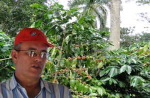 El Ministro de la agricultura aseguró que se trabaja en la recuperación de la producción cafetalera.