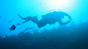 El océano un bien natural imprescindible para la vida en el planeta. /Foto: cortesía del Club de Buceo Los Crustáceos