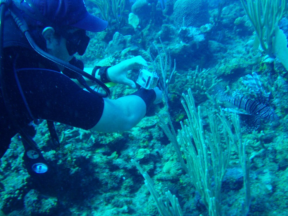 Una crónica a propósito de celebrarse hoy, 8 de junio, el Día Mundial de los Océanos. /Foto: cortesía del Club de Buceo Los Crustáceos