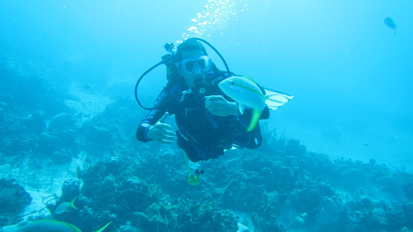 Una crónica a propósito de celebrarse hoy, 8 de junio, el Día Mundial de los Océanos. /Foto: cortesía del Club de Buceo Los Crustáceos