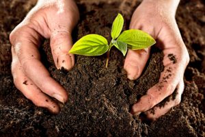 Más de 20 ponencias se presentaron el taller provincial sobre agroecología y cooperativismo celebrado en Cienfuegos. /Foto: Tomada de Internet.