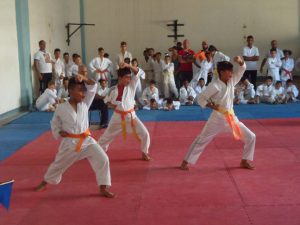 En la kata por equipos hubo excelentes muestras de actuación.