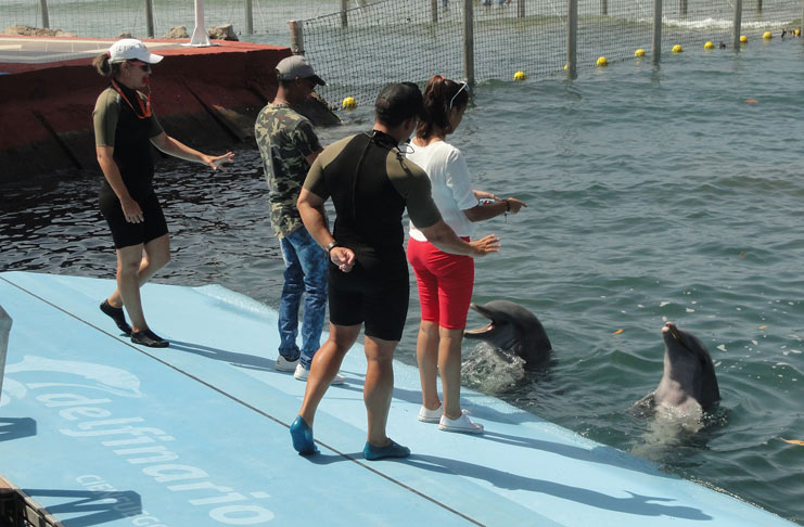 La reapertura del delfinario es una buena noticia para los cienfuegueros. Foto: Efraín Cedeño