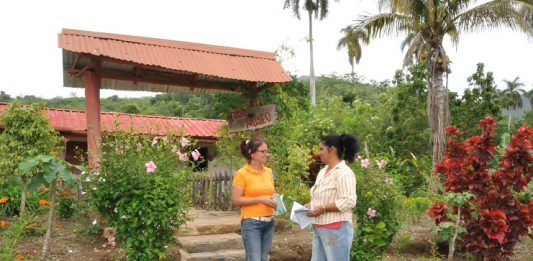 Finca de Plantas Medicinales de Enrique El Gallego Otero./Foto: Archivo