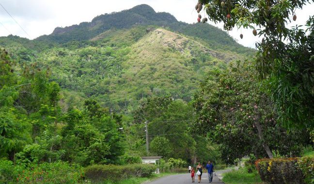 El desarrollo sostenible es parte de los objetivos del proyecto Conectando paisajes de las montañas de Guamuhaya./Foto: Darilys Reyes (Centro de Documentación)