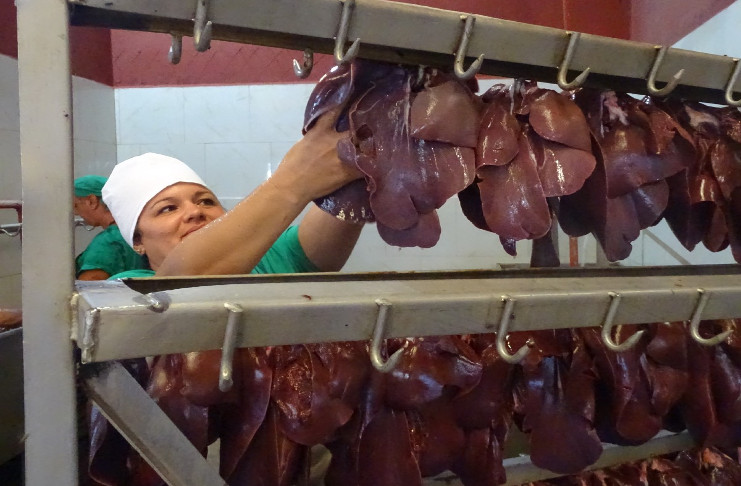 En jornadas extendidas el colectivo de la Empresa Cárnica de Cienfuegos trabaja por resarcir los atrasos provocados por la parada para asegurar, con calidad, los volúmenes de producción con destino a la canasta básica./Foto: Juan Ariel Toledo