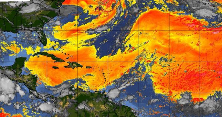 Imagen satelital que muestra el avance hacia el oeste de la nube de polvo del Sahara impulsada por los vientos alisios. /Foto: CONAGUA Clima