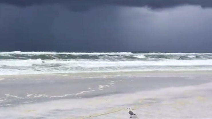 Marejada ciclónica asociada al ahora huracán Barry, categoría uno en la escala Saffir-Simpson, mientras el organismo se acerca a una playa en Seaside (Florida). Foto: Mark Fulford (Reuters)