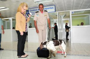 La técnica canina trabaja en la detección de drogas y explosivos, en aeropuertos, marinas, puertos, y otros./Foto: Tomada de JRebelde
