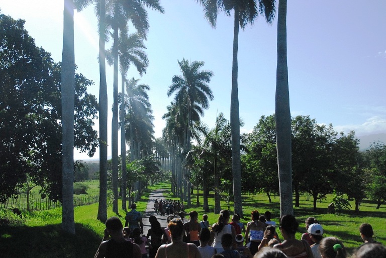 El Jardín Botánico de Cienfuegos ofrece sus paisajes y logros al turismo nacional e internacional este verano./Foto: Juan Carlos Dorado