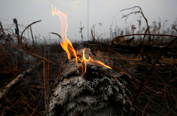 Pese a la devastación, el gobierno de Bolsonaro manifiesta su rechazo a la ayuda del G-7. En la imagen, un tramo de la selva amazónica después de un incendio en Boca do Acre, estado de Amazonas, Brasil. 24 de agosto de 2019. /Foto: Bruno Kelly (Reuters)