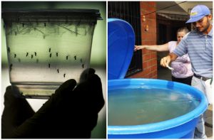 La abatización directa es el método más extendido en el uso del larvicida que evita la proliferación del mosquito. Pero para evitar que se arroje y/o evitar el rechazo de quienes alegan que el agua adquiere olor, aquí les proponemos una solución. /Foto: Archivo