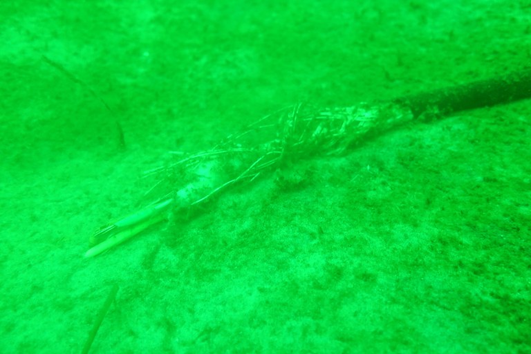 El cable triturado del observatorio submarino de Boknis Eck encontrado por los buzos. /Foto: Research Dive Center of the CAU