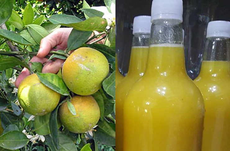 Con la naranja robada en las plantaciones llenaron pomos de jugo que fueron ocupados. También varios sacos de ese cítrico y de mandarinas. /Foto: Ilustrativa