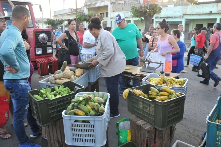 Sistemáticas acciones de supervisión y control se realizan en las ferias agropecuarias de los sábados en la ciudad de Cienfuegos./ Foto: Juan Carlos Dorado (Centro de Documentación)
