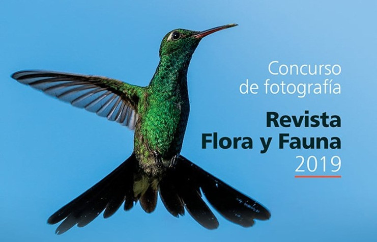 Desde las redes sociales también se promociona el concurso de fotografía. /Foto: Tomada de la página de Facebook de Flora y Fauna.