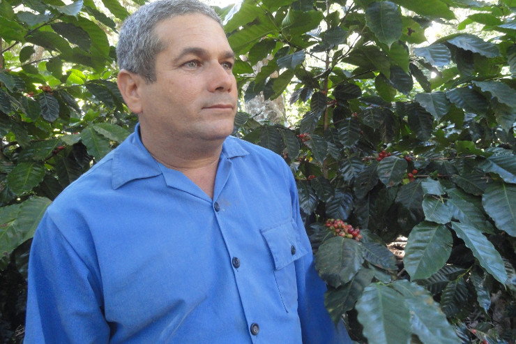 Jesús Chaviano Ruiz, productor cafetalero de fama en el lomerío. /Foto: Magalys