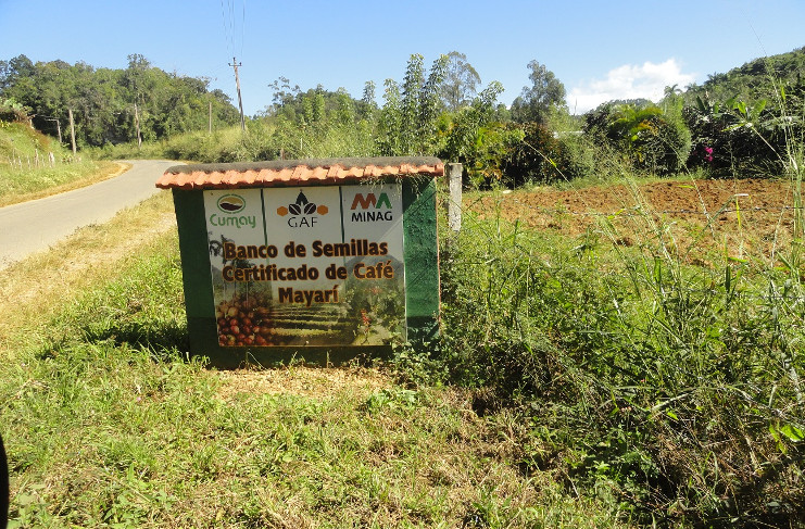 La Finca cuenta con diez hectáreas enteramente dedicadas a producir café y semilla certificada. /Foto: Magalys