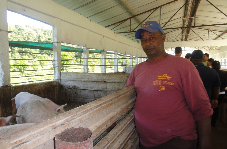 Juan Antonio Presno Santana, el administrador de la finca de crí­a de cerdos de raza. /Foto: Magalys