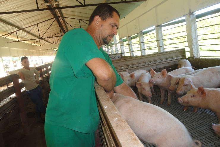 Luis Ebey Aday, médico veterinario y poblador de Hoyo de Padilla. /Foto: Magalys