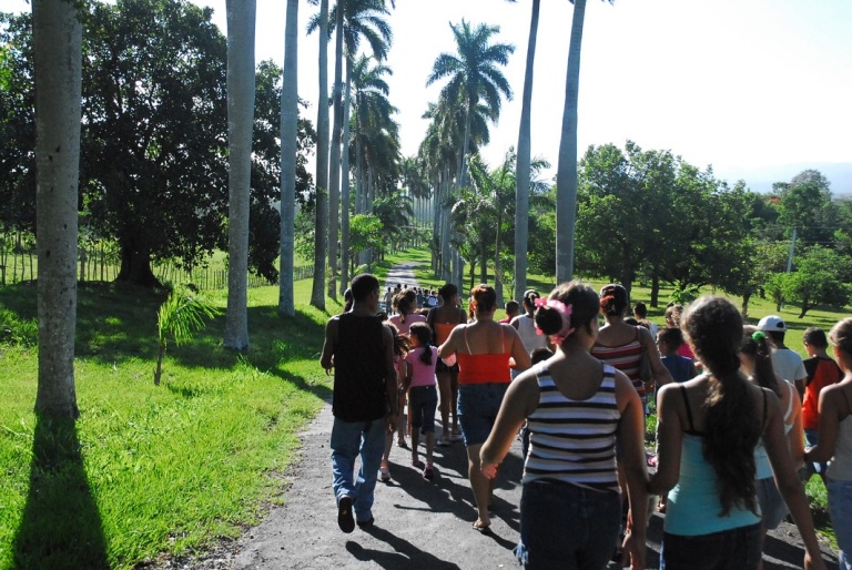 El Jardín Botánico de Cienfuegos muestra a los visitantes joyas del patrimonio vegetal cubano./Foto: Juan Carlos Dorado