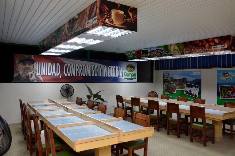 En la "Eladio Machín" se procesa el mejor café, la mejor masa de café del país./Foto: Modesto Gutiérrez (ACN)