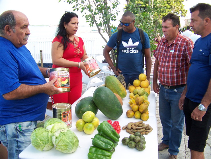 La Agricultura impactó por la calidad de las producciones expuestas. /Foto: Efraín Cedeño.